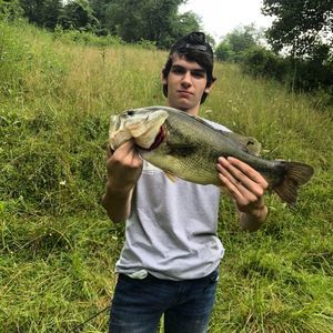 Meet your Posher, Brock